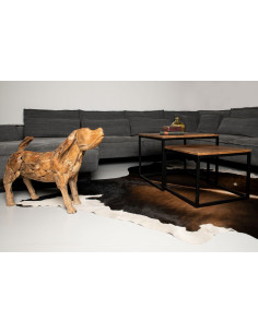 Double table basse... 2