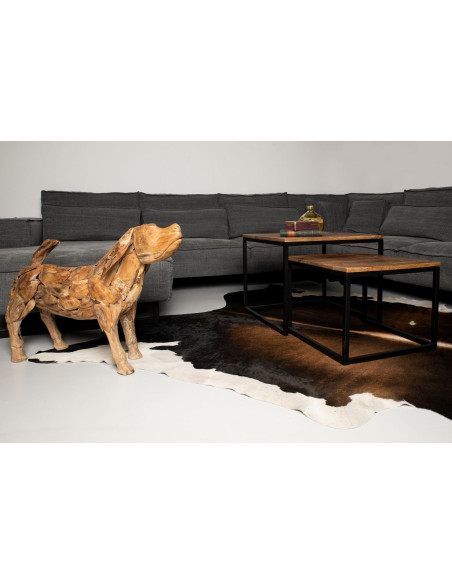 Double table basse industrielle en manguier et métal noir