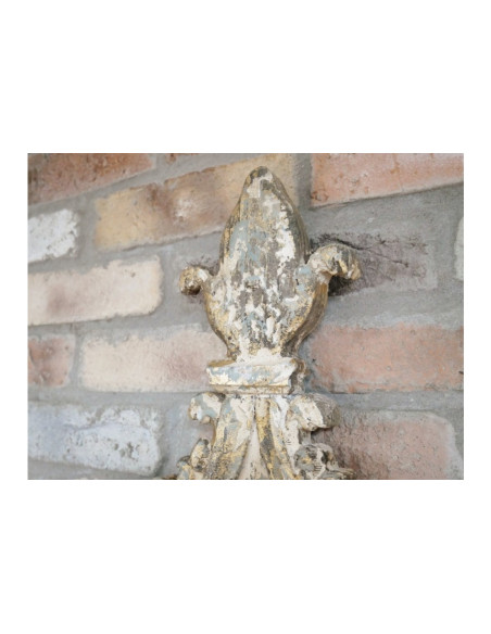 Miroir rustique au style gothique et fleur de lys