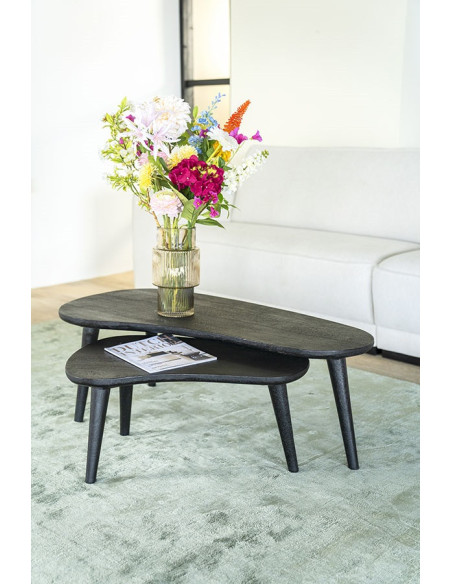 Set de 2 tables basses haricot bois massif noir Guus