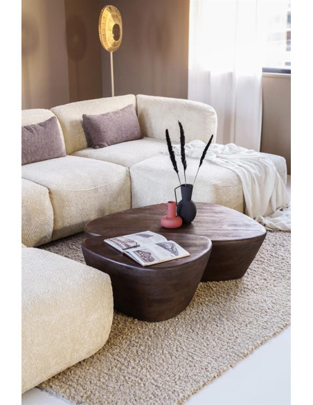 Table basse forme galet en manguier Mila