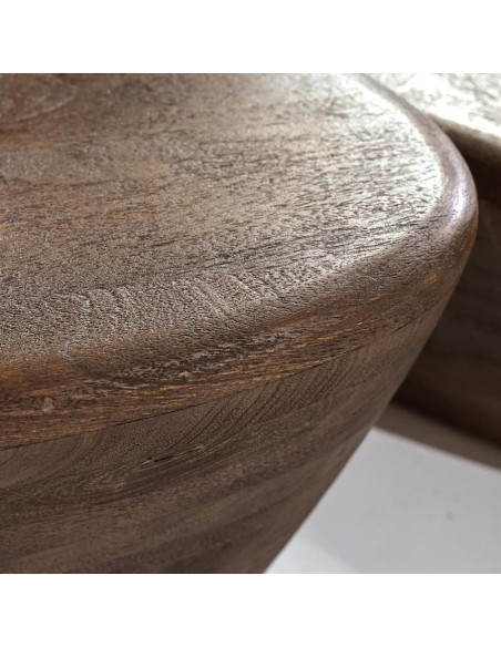 Table basse forme galet en manguier Mila