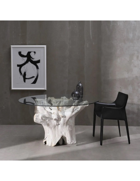 Table de salle à manger en racine de teck et verre