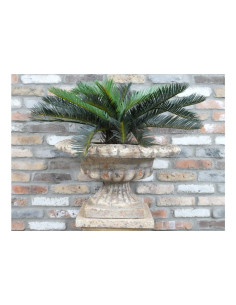 Coupe Médicis effet antique