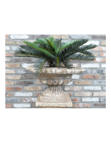 Coupe Médicis effet antique