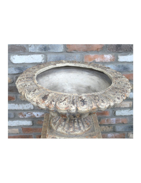 Coupe Médicis effet antique