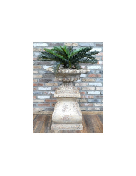 Coupe Médicis effet antique