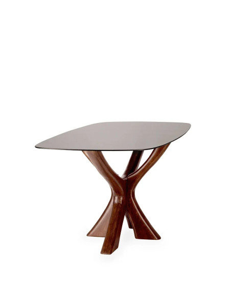 Table de repas design avec plateau verre