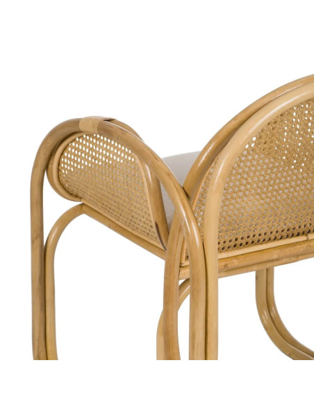Fauteuil de repas en rotin avec coussin