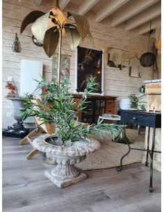 Coupe Médicis effet antique 2