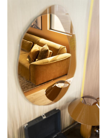 Miroir rétro vitre teintée