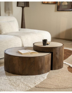 Lot de 2 tables basses en...