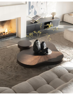 Table basse organique trois...