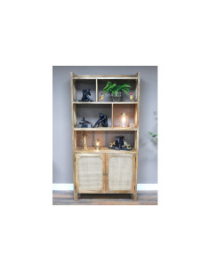 Bibliothèque 2 portes en...