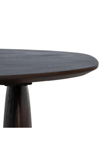 Table de salon style organique en bois teinté marron