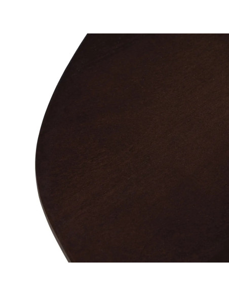 Table de salon style organique en bois teinté marron