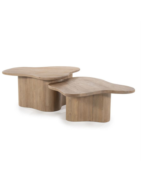 Lot de 2 tables basses style organique Fall