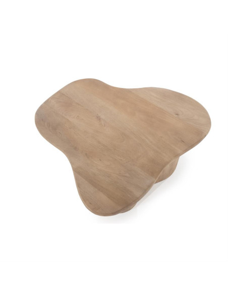 Lot de 2 tables basses style organique Fall