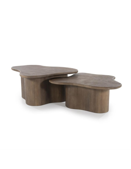 Lot de 2 tables basses style organique Fall