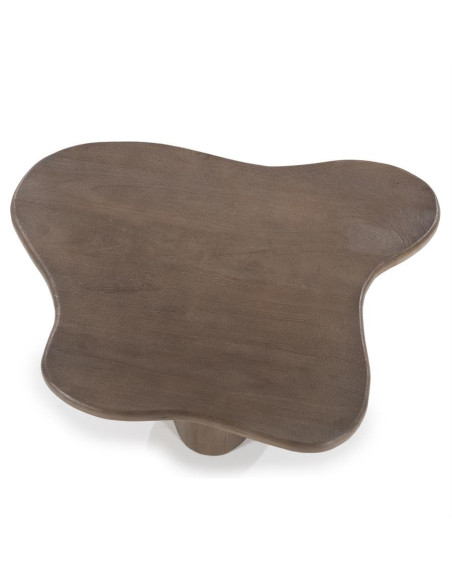 Lot de 2 tables basses style organique Fall