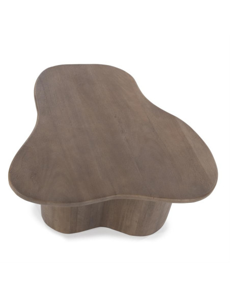 Lot de 2 tables basses style organique Fall