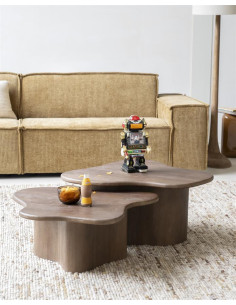 Lot de 2 tables basses...
