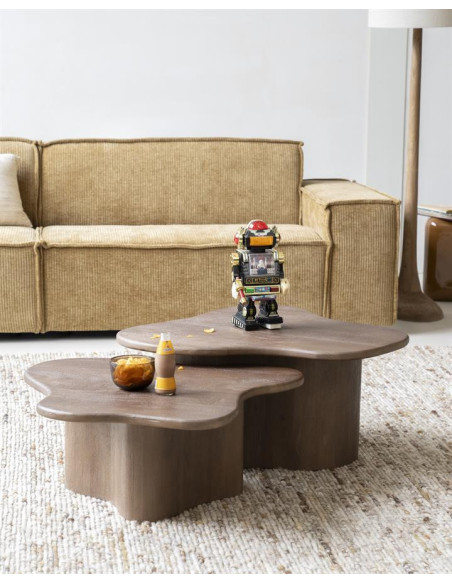Lot de 2 tables basses style organique Fall