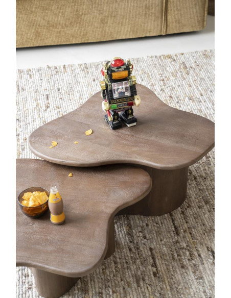 Lot de 2 tables basses style organique Fall