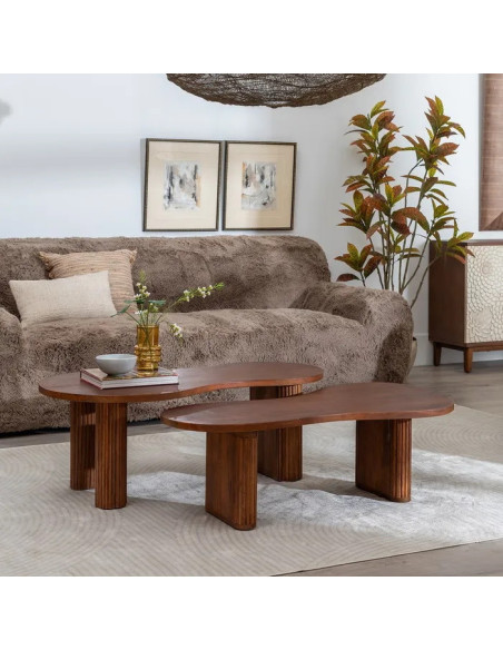 Lot de 2 tables basses en manguier forme organique