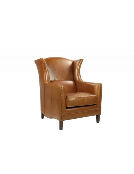 Fauteuil élégant en cuir Palmier