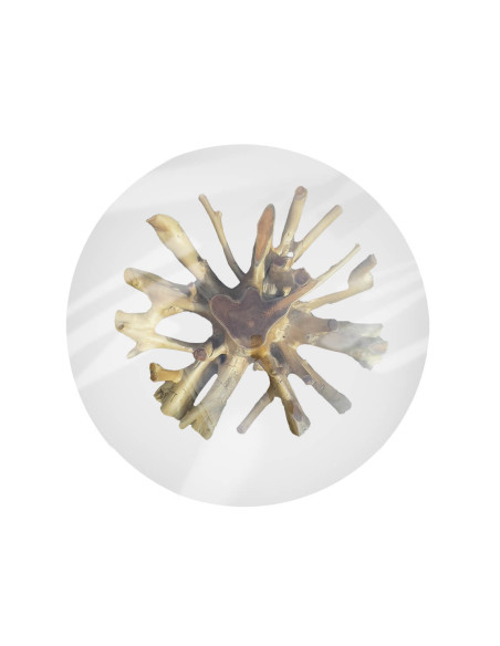 Table de repas ronde en racine de teck et verre