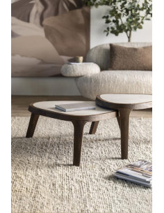 Table basse plateau en...