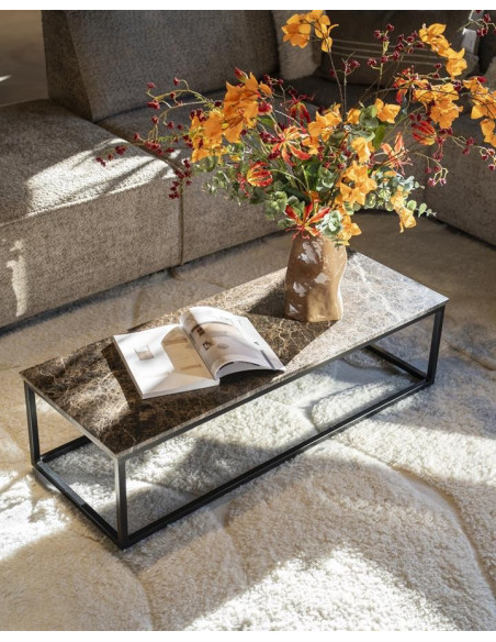 Table basse en marbre véritable et métal