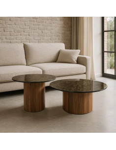 Lot de 2 Tables basses...