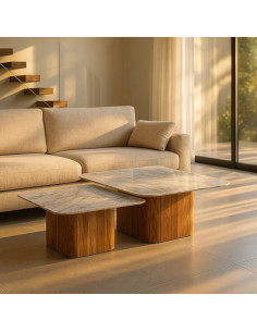 Lot de 2 tables basses...