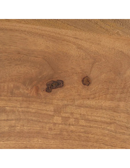 Table de salon minimaliste en manguier