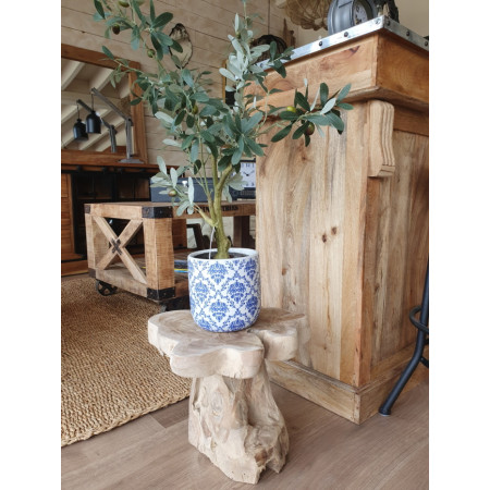 Support pour plantes tronc d'arbre Support pour plantes tronc d'arbre