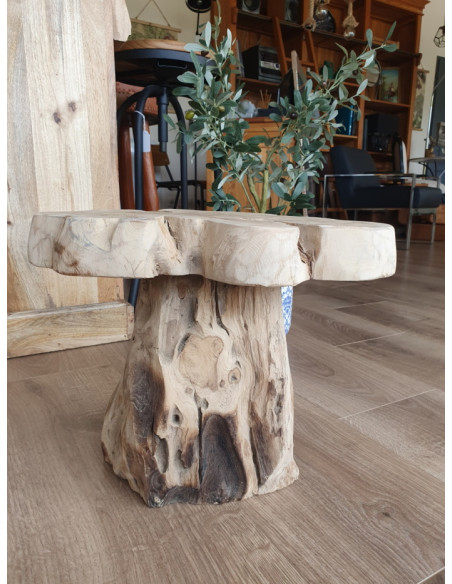 Support pour plantes tronc d'arbre