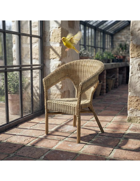 Fauteuil de jardin en rotin avec dossier arrondi