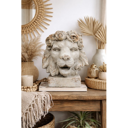 Vase tête de lion à la patine vieillie
