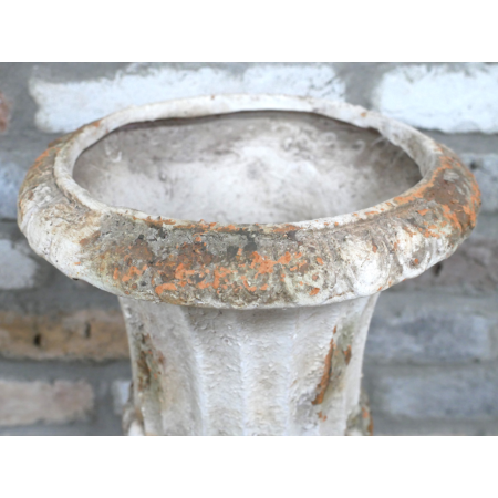 Gros plan texture Gros plan texture