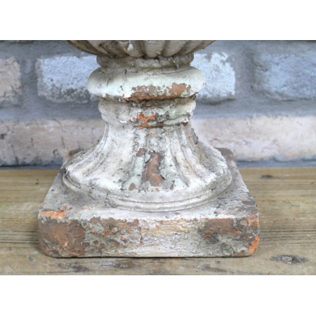 Gros plan pied Gros plan pied