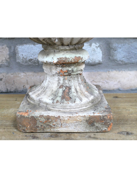 Gros plan pied Gros plan pied