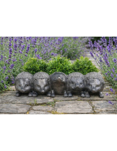 Jardinière Hérissons en...