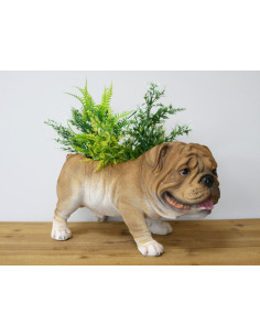 Jardinière Bouledogue en...