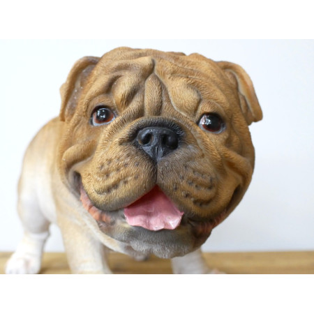 Jardinière Bouledogue en résine – Pot... Jardinière Bouledogue en résine – Pot...