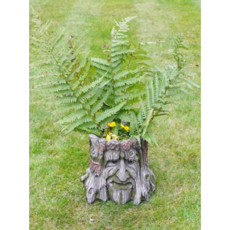 Jardinière Tronc d’Arbre Visage en... Jardinière Tronc d’Arbre Visage en...