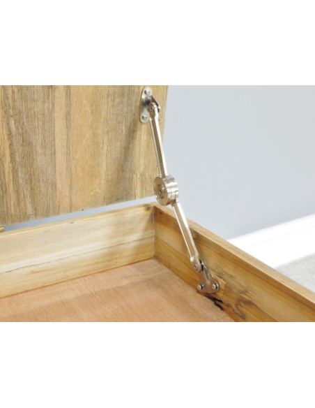 TABLE BASSE VITRINE À COMPARTIMENTS SUR ROULETTES