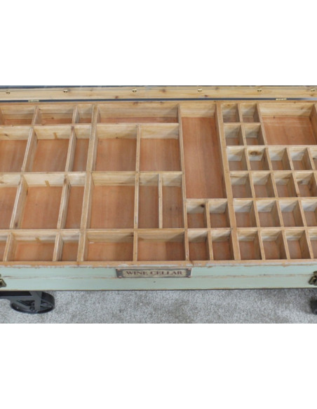 TABLE BASSE VITRINE À COMPARTIMENTS SUR ROULETTES