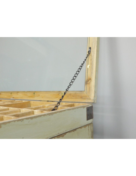TABLE BASSE VITRINE À COMPARTIMENTS SUR ROULETTES